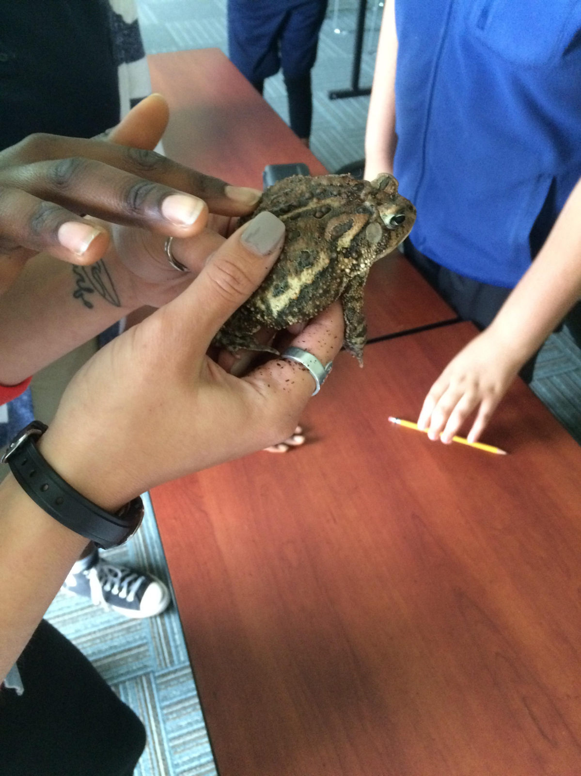 Kids holding toad
