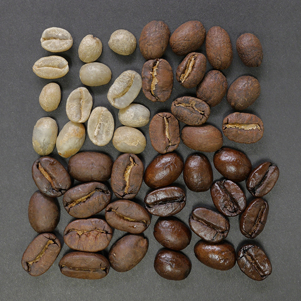 Measuring-the-Color-of-Roasted-Coffee-Beans.jpg
