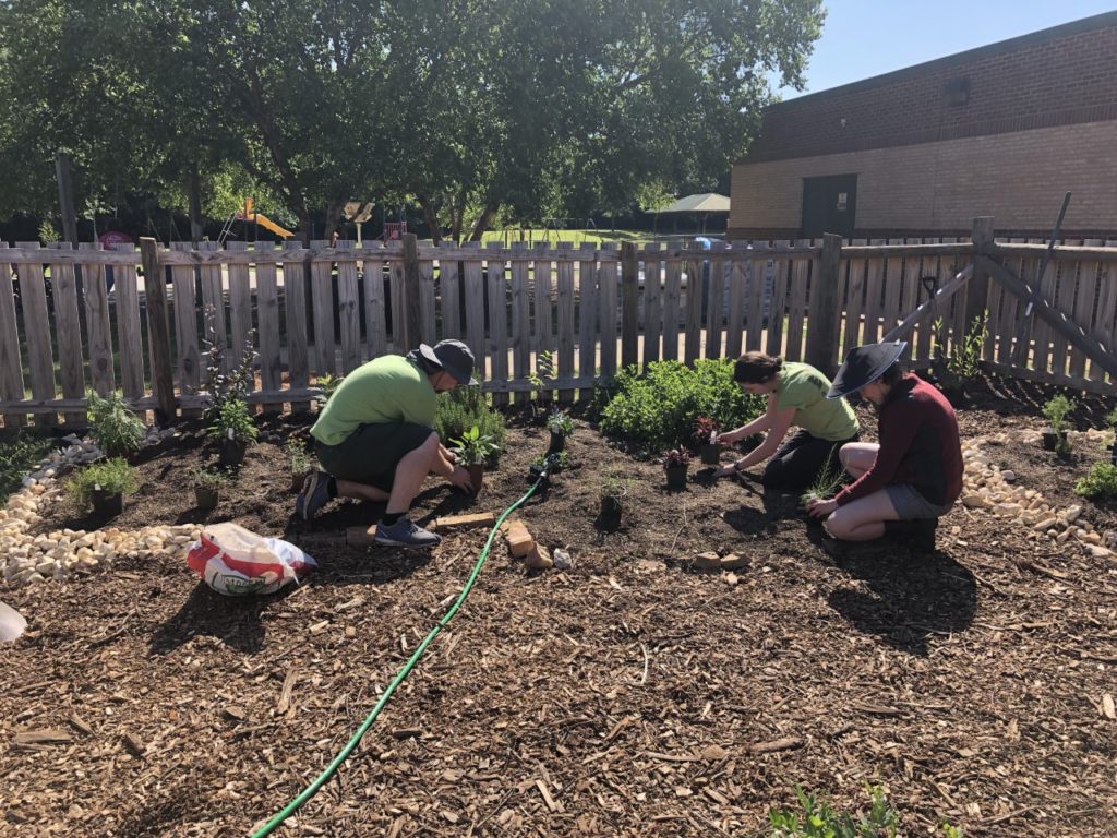 Weekly Pollinator Series - Malcom Bridge Elementary School - EcoReach