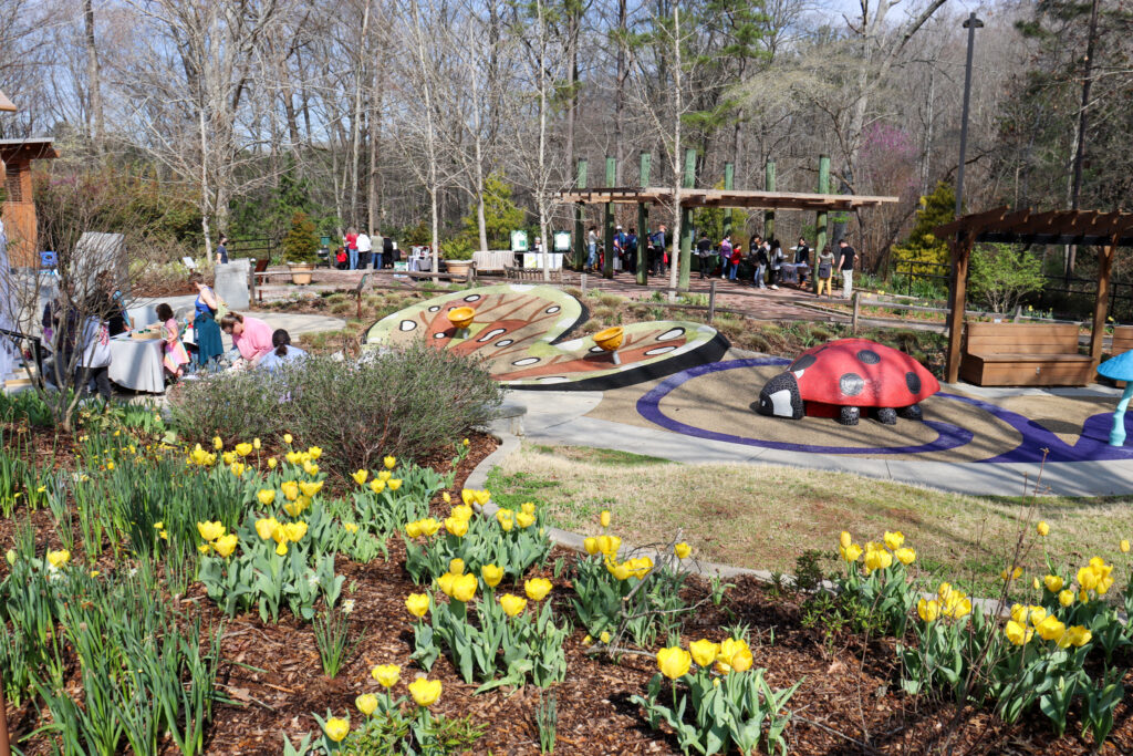 yellow flowers at the Georgia Botanical garden childrens garden