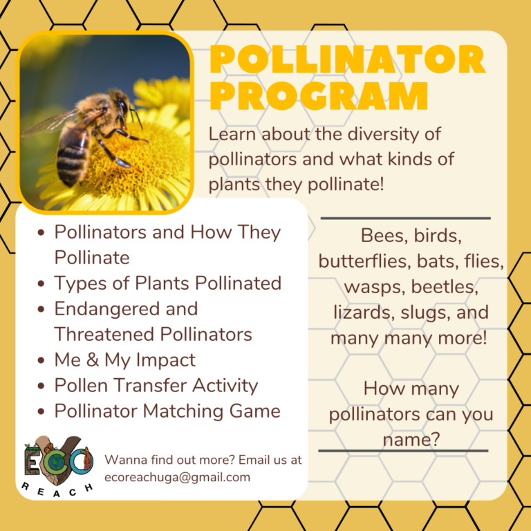 Read more about the article Athens- Clarke County Library Pollinator Program