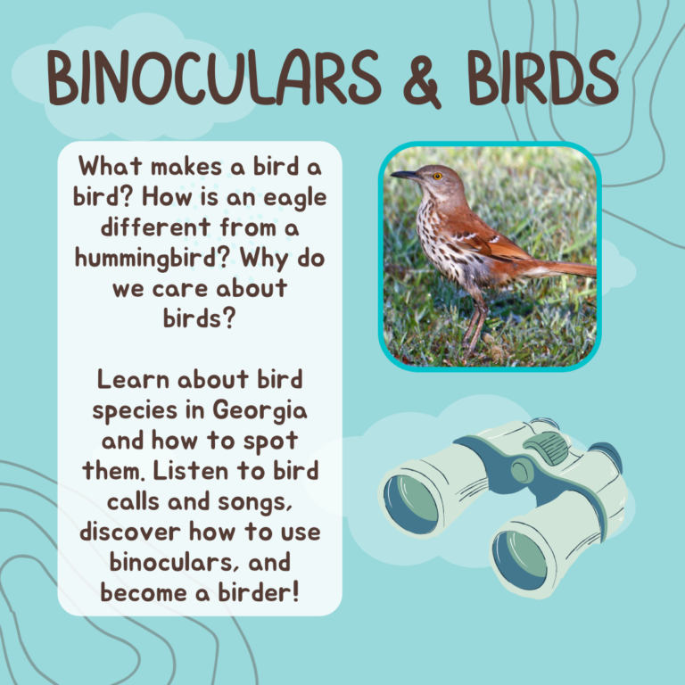 Read more about the article Summer Camp: Binoculars & Birds